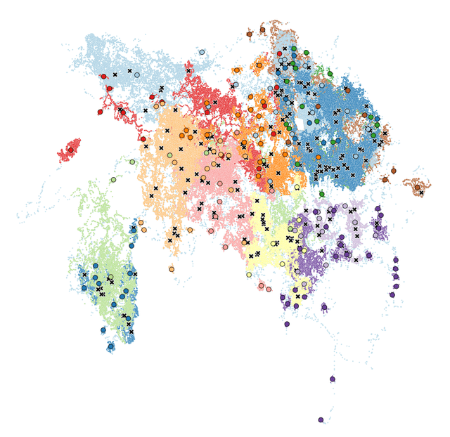 Elephant movement visualization preview